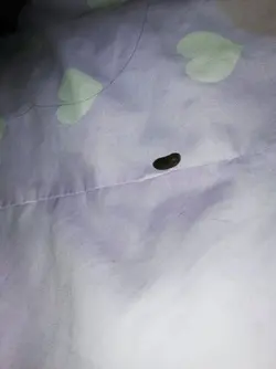 IMG_20190602_225434.webp