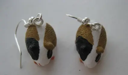 Earrings.webp