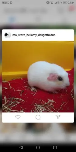 Screenshot_20190614-222408.webp
