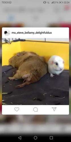 Screenshot_20190614-222417.webp