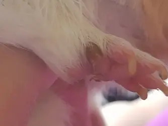 115792