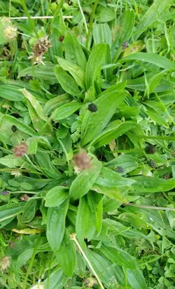 _20190616_185857.webp