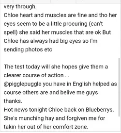 Screenshot_2019-06-24-21-46-06-1.webp