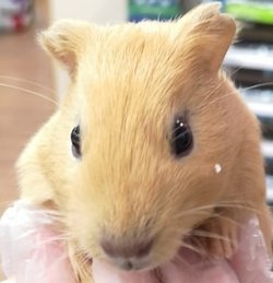 20190626_192813.webp