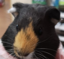 20190626_192833.webp