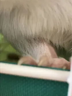 117174