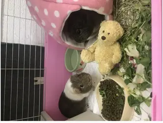 Screenshot_2019-07-04-21-08-31-1.webp