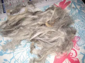 Pile of fur cut off.webp