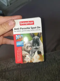 15643371368203752448138423232523.webp