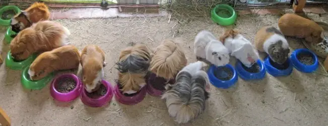IMG_9008_edited-1.jpg