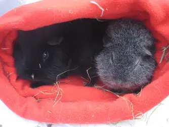 Meg & Christian snuggly faces.webp