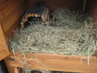 Too much hay 3.JPG