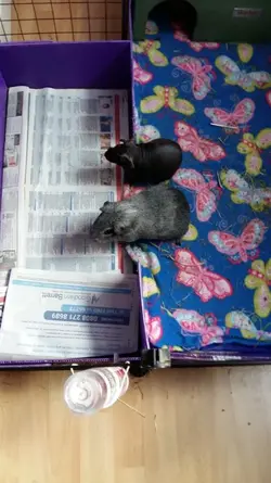 20190818_185930.webp