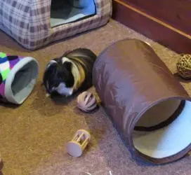 Floor time (3).webp