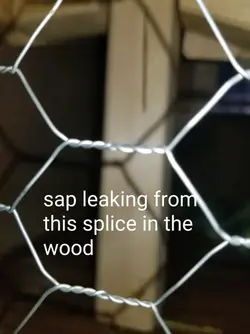 69515472_2545165695546012_2337113008238493696_n.webp