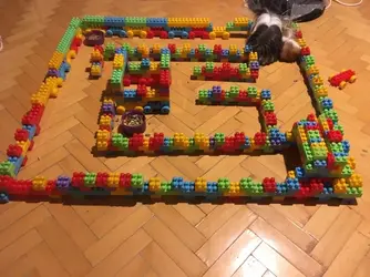 Lego hamster fashion maze