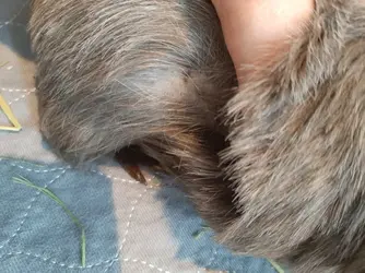 20190914_124514.webp