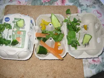 egg box dinner 1.webp