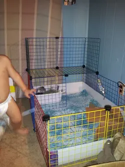 2014-09-05 20.27.07.webp