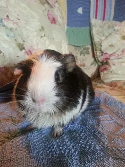 2014-09-26 09.32.35.webp