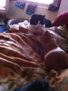 image.webp image.webp