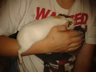 2014-10-01 20.04.06-1.webp