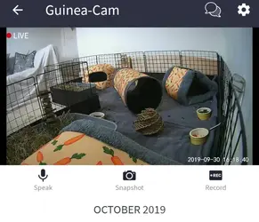 Screenshot_20190930-161846~2.webp