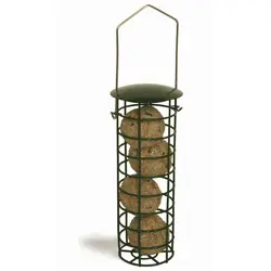 suet 1.webp