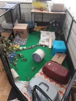 20191013_143455.webp
