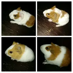 20191022_171903-COLLAGE1.webp