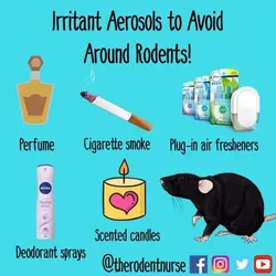 Aerosol Irritants for Guinea Pigs Poster.jpg Aerosol Irritants for Guinea Pigs Poster.jpg