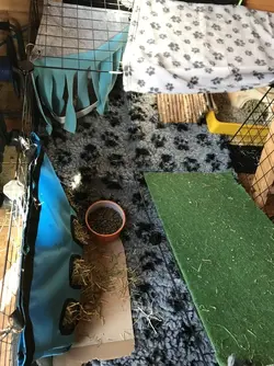 IMG_1443.webp