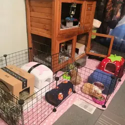 cage.jpg