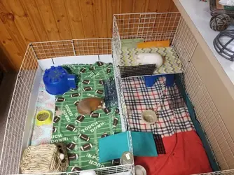 20191117_135824.webp