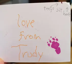 trudycardinside.webp