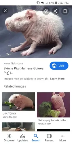 Screenshot_2019-12-08-15-53-00.webp