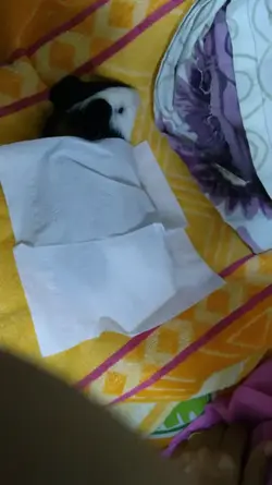 Screenshot_20191214-104829.webp