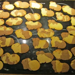 19 Wiebke cookies.jpg