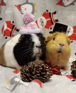 25 December.jpg
