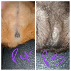 20200102_180037-COLLAGE~2.webp