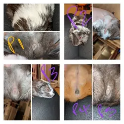 20200102_180744-COLLAGE.webp