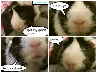 MyComic_635489465547018585.webp