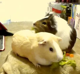 picture042.webp