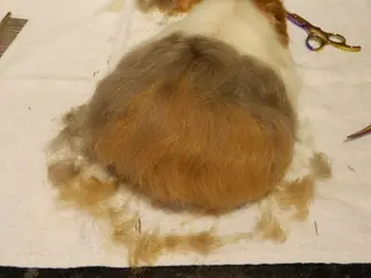 DSCN7373.webp