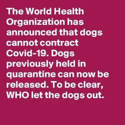The-World-Health-Organization-has-announced-that-d.jpeg The-World-Health-Organization-has-announced-that-d.jpeg