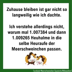 1584659229575.webp