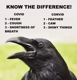 1584812224332.webp