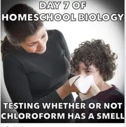 Corona home schooling.webp