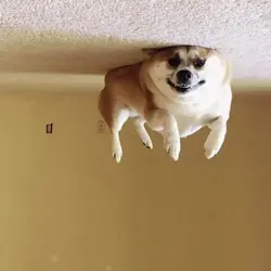 EVHHJOwUcAAMWUP.webp