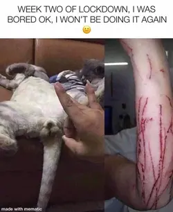 ouch (1).webp